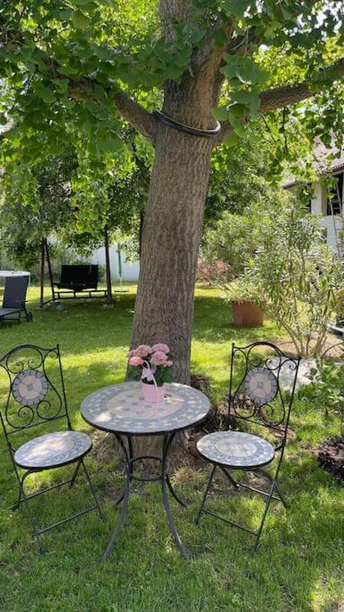 Charmantes Cottage Appartement Pottelsdorf Zewnętrze zdjęcie